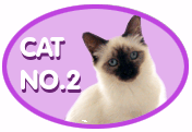CAT2