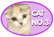 CAT3