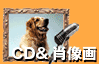 CD&�ё���